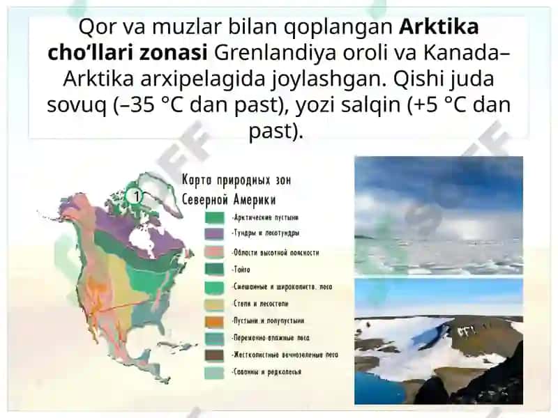 Shimoliy Amerika tabiat zonalarining tarkibi 5