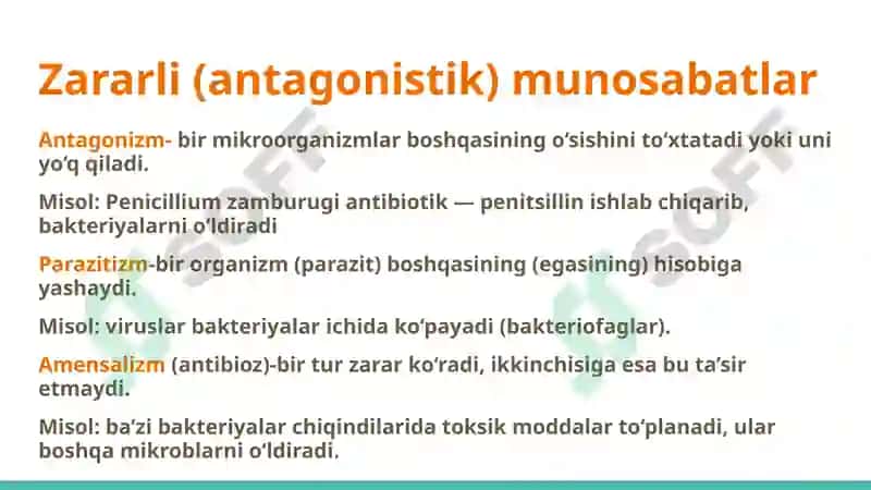 Мikroorganizmlar ekologiyasi. Inson tanasining normal mikroflorasi va uning ahamiyati va vazifalari. Disbakteriozlar 5