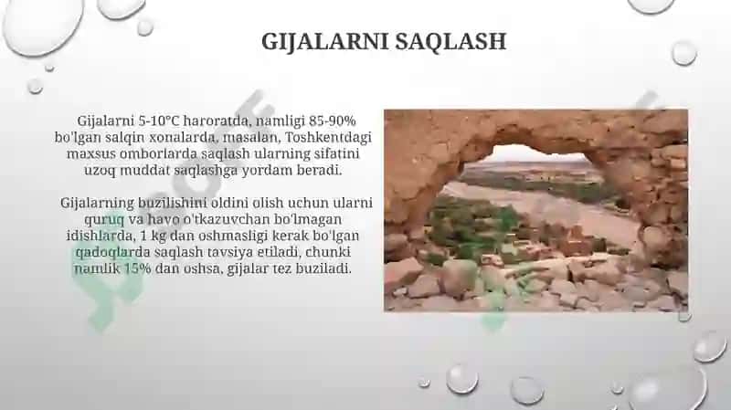 Gijalar 5