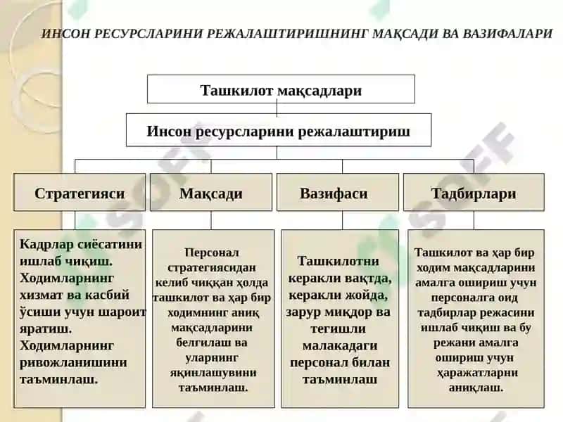 ИНСОН РЕСУРСЛАРИНИРЕЖАЛАШТИРИШВА ПЕРСОНАЛ МАРКЕТИНГИ 5