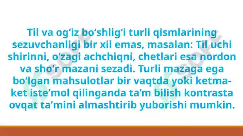 Ta’mbilisha’zolarining funksional anatomiyasi 5