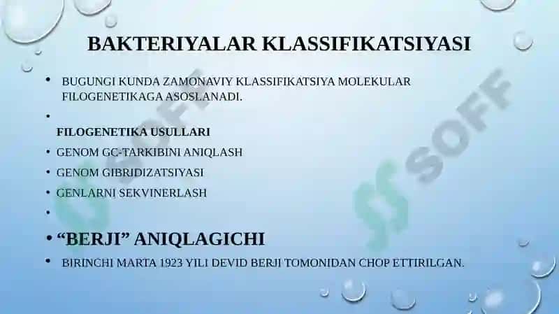 Bakteriyalaring “bejri” sinamasi 5
