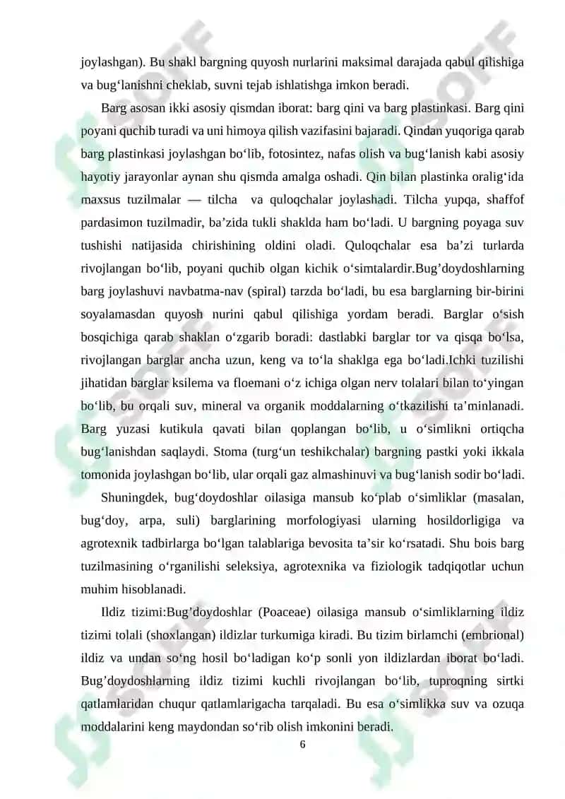 Bug’doydoshlar oilasining umumiy ta’rifi,vakillari,tuzilish xususiyatlari va ahamiyati. 5