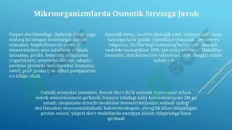 Halofillar, osmofilalar va galoterant mikroorganizmlar 5