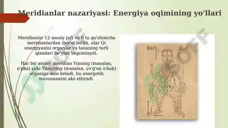 Qadimgi xitoyda shifobaxsh nuqtalarda igna bilan davolash 5