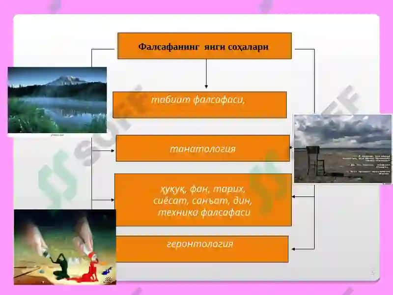 Фалсафа 5