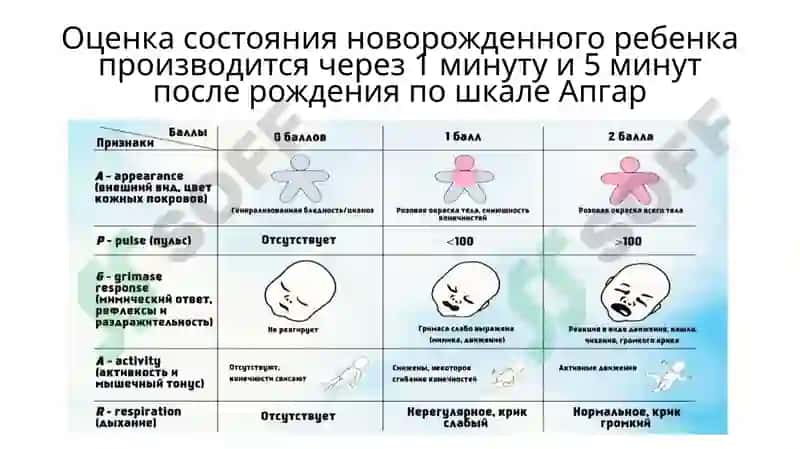 Первичный осмотр новорожденного в родзале 5