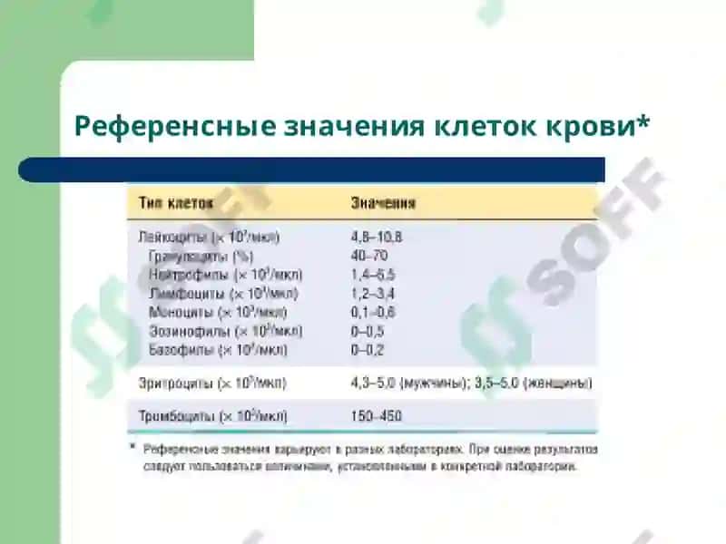 Лекция 12 Патофизиология крови 5
