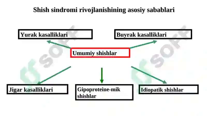 ANGIONEVROTIK SHISHI 5