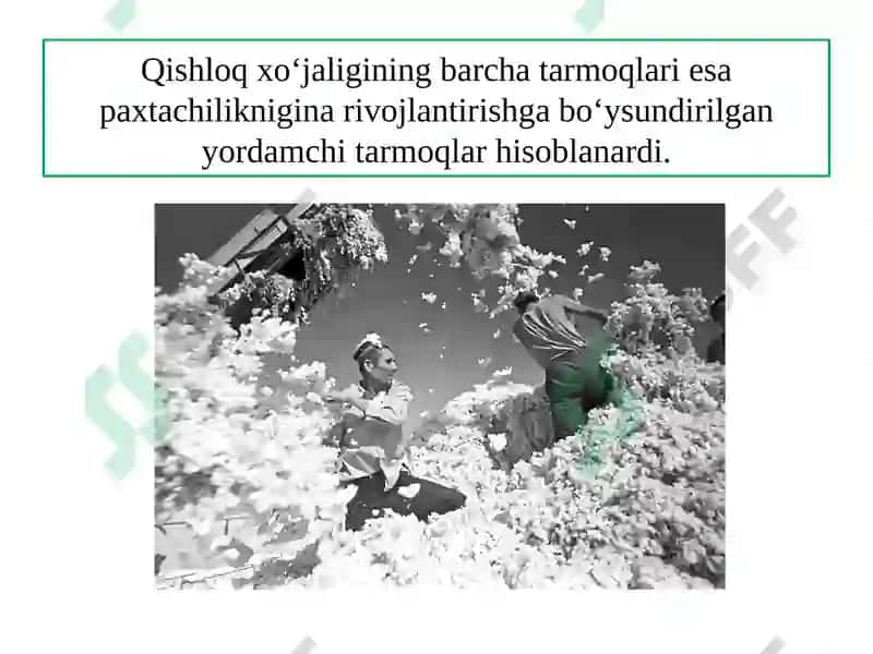 O‘ZBЕKISTОNDАQISHLОQХO‘JАLIGINING GЕОGRАFIK TIPLАRI 5