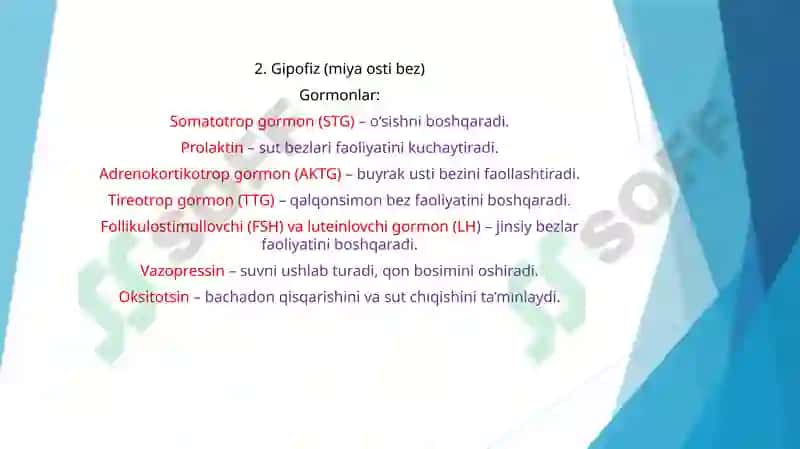GORMONLAR VA ULARNING YOSHGA OID FUNKSIYALARI 5