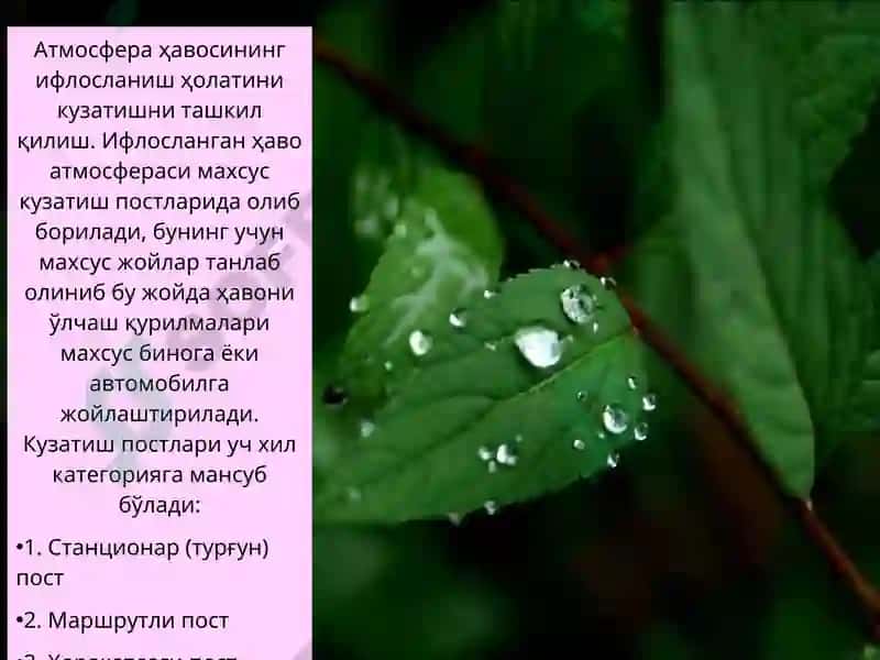 Ифлосланишни бошқариш иқтисодиёти: умумий нуқтаи-назар 5