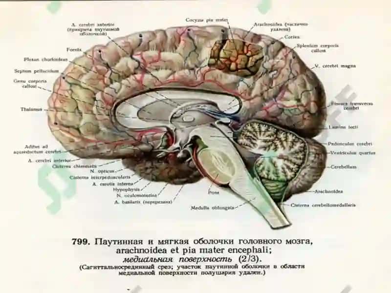 Нерв системасининг инфекцион-яллиғланиш касалликлариклассификацияси 5