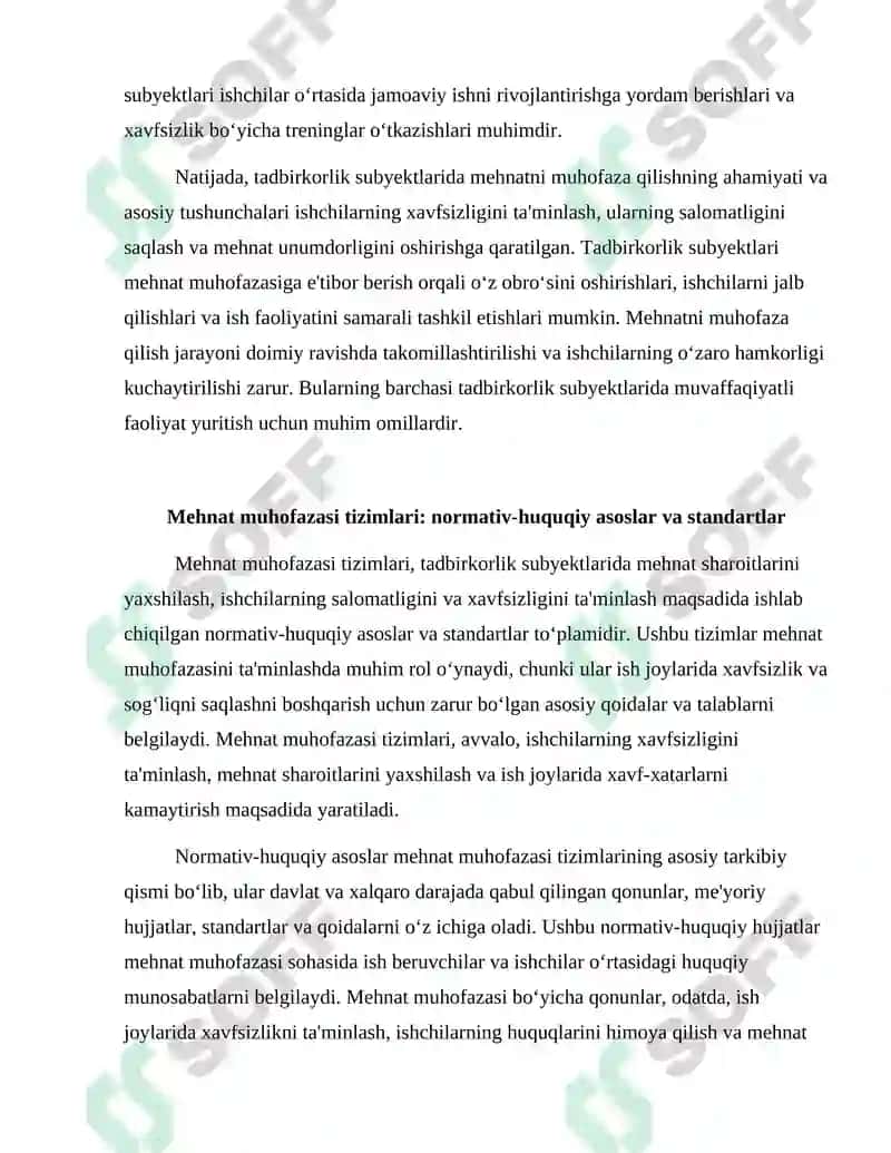 Tadbirkorlik subyektlarida mehnatni muhofaza qilish 5