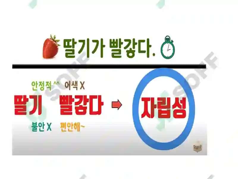 김이영 5