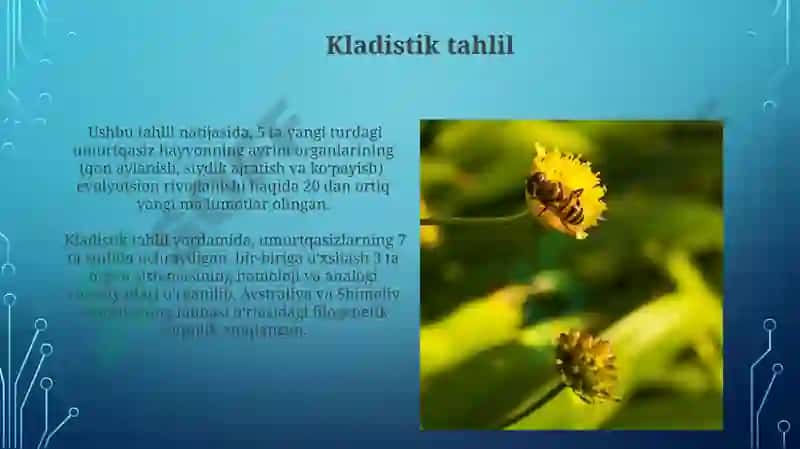 Umrutqalilar a'zolar tizimi filogenezi 5