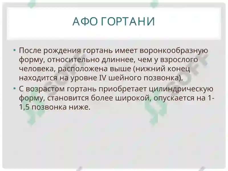 АНАТОМО-ФИЗИОЛОГИЧЕСКИЕ ОСОБЕННОСТИ ОРГАНОВ ДЫХАНИЯ У ДЕТЕЙ 5