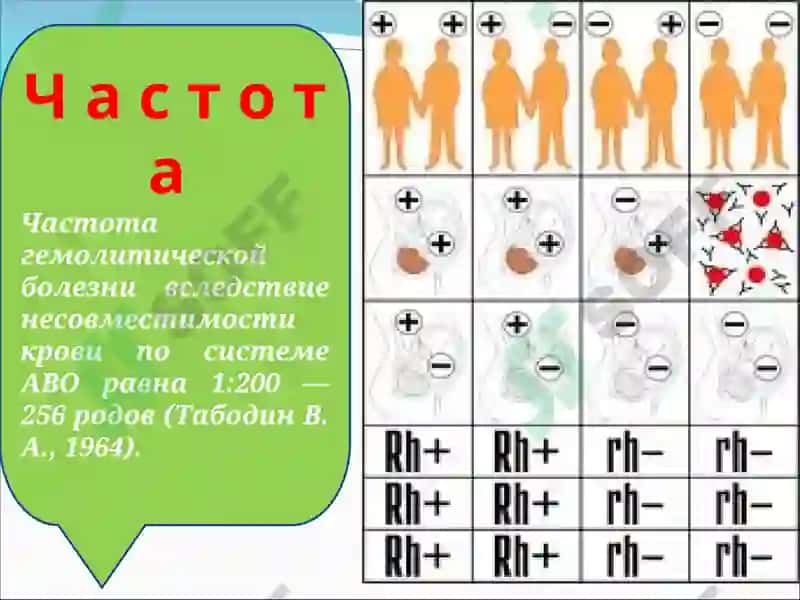 Резус фактор в акушерстве. иммуноконфликтная беременность: Гемолитическая болезнь плода 5
