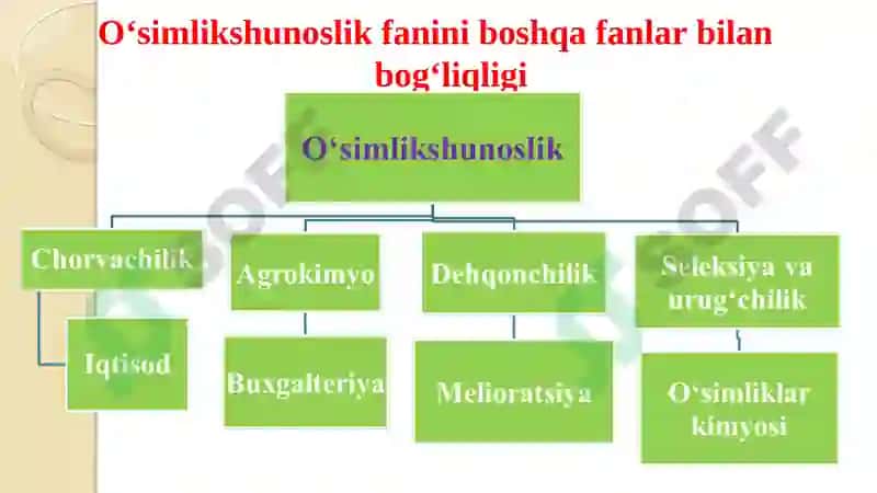 O‘simlikshunoslik fanining maqsadi va vazifasi, dalaekinlarining umumiy tavsifiva guruhlari 5
