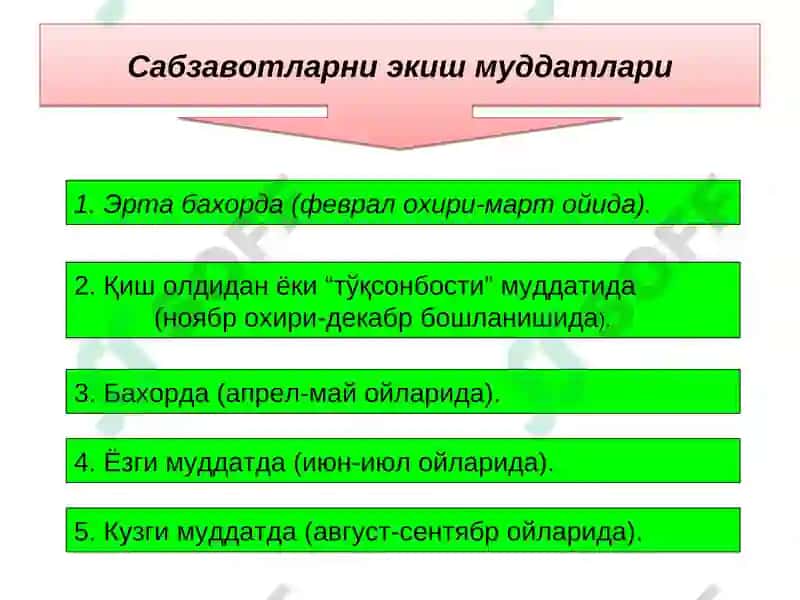 Organik sabzavot, poliz va kartoshka mahsulotlarini etishtirishda almashlab ekishni o‘rni 5