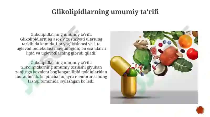 Nerv to'qimasining asosiy glikolipidlari 5