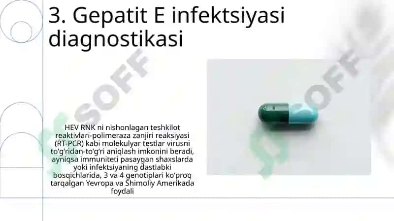 Gepatit E 5
