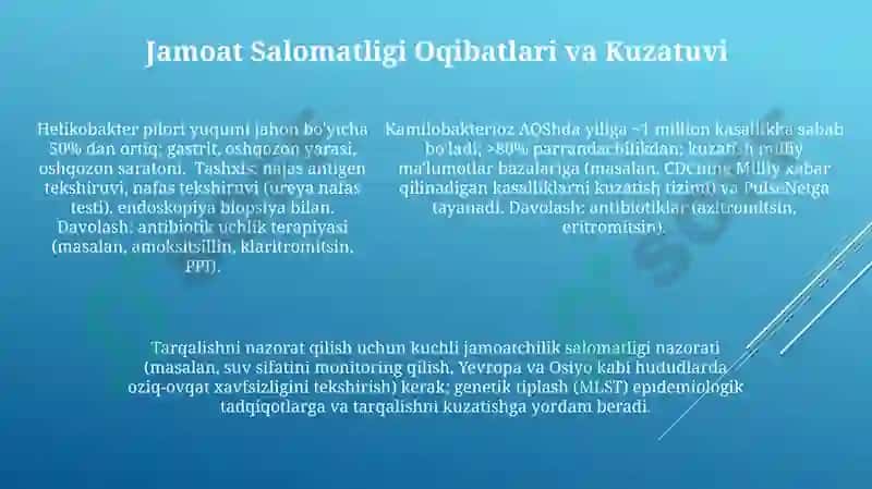 Kampilobakteriyalar, xelikobakteriyalar va ularning amaliyotdagi ahamiyati 5