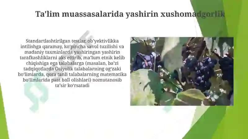 Jahonning rivojlangan mamlakatlarida tarbiyaviy jarayonlarning etnik xususiyatlari 5