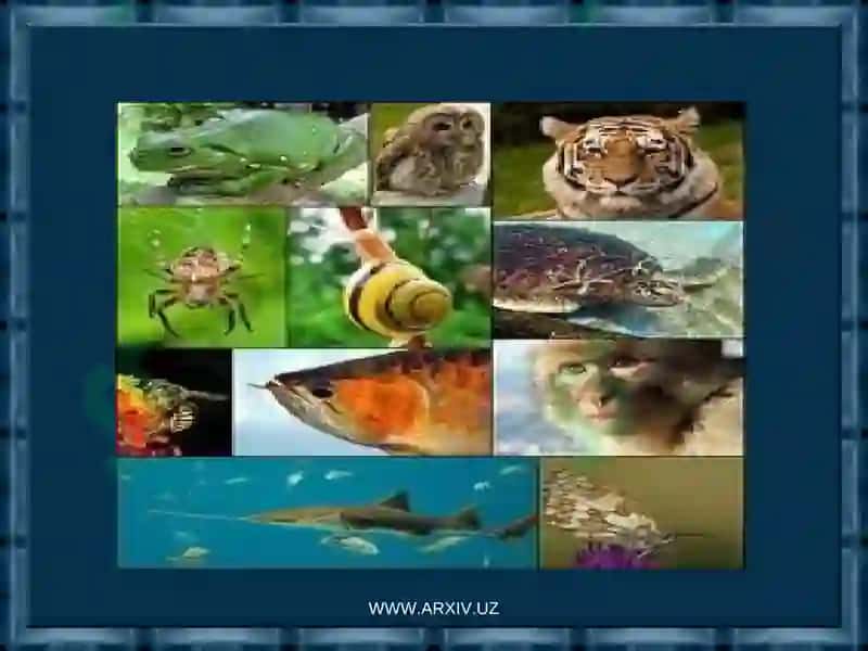 BIOSFERA VA UNING CHEGARALARI 5