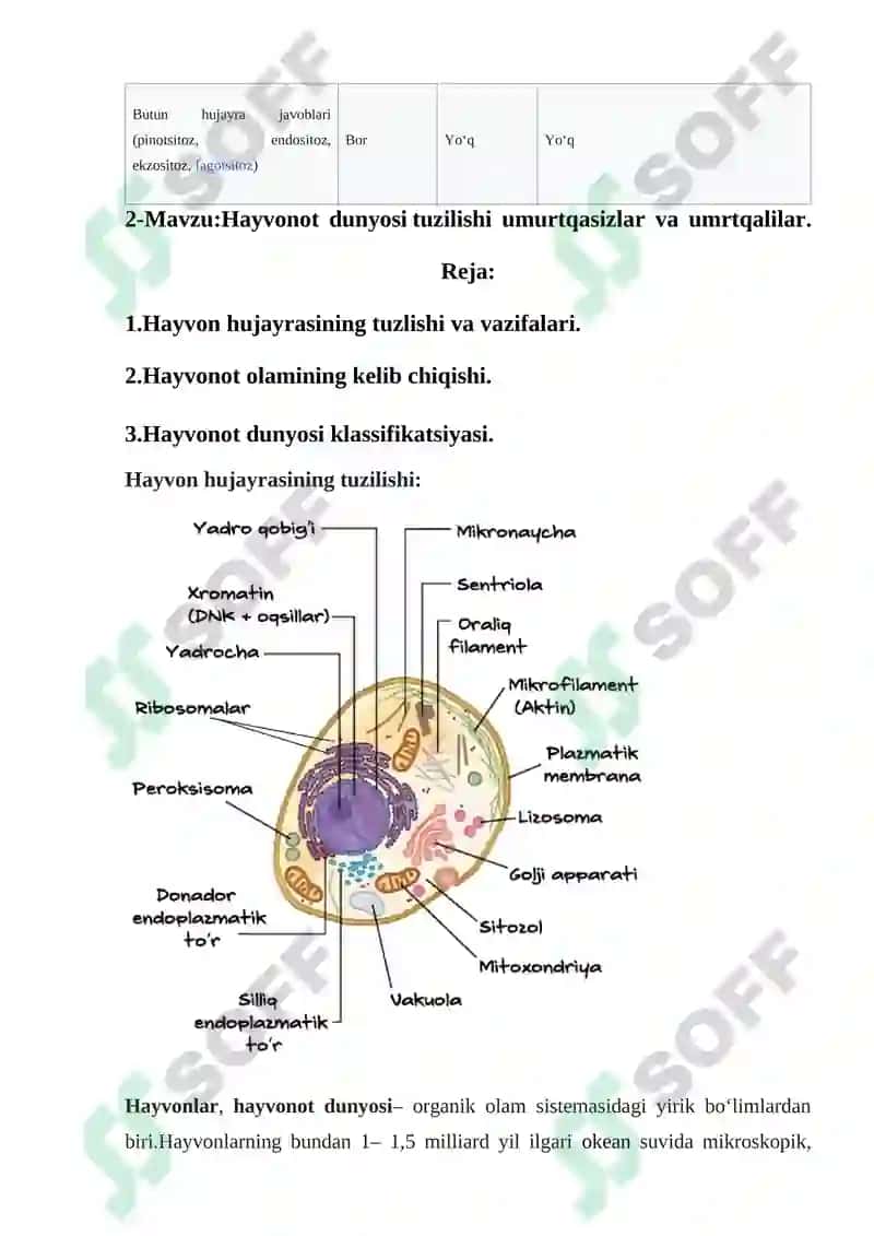 O‘simlik hujayrasi va uning tuzilishi 5