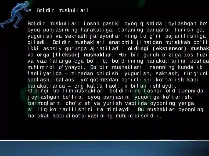 oyoq muskullari 5