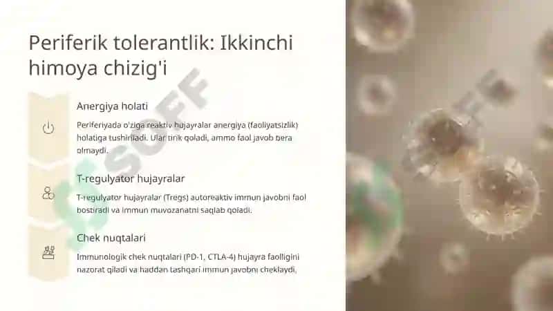 Immunologik tolerantlik nuqsonlari va autoimmun kasalliklar 5