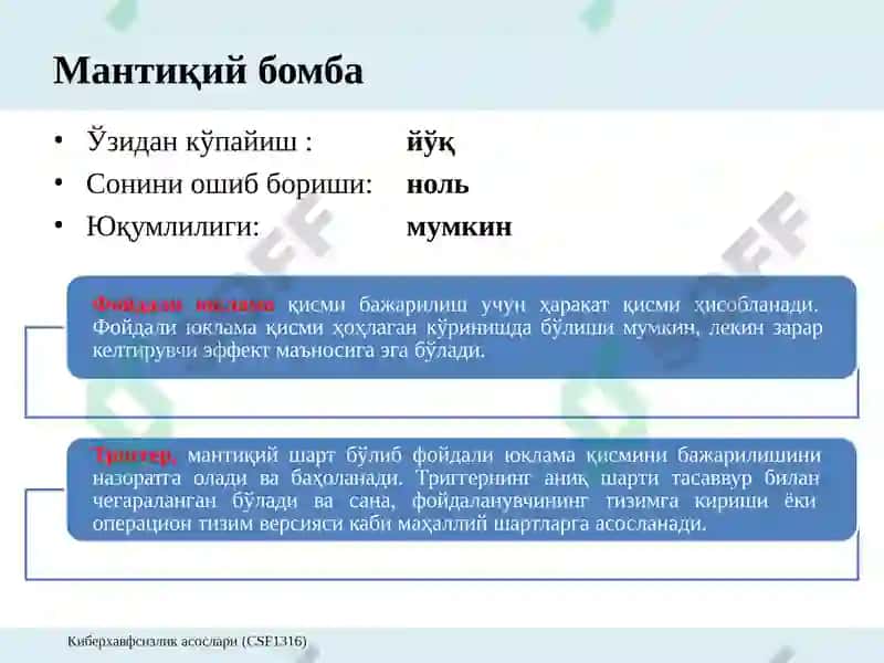 Зараркунанда	дастурий  таъминотлар 5