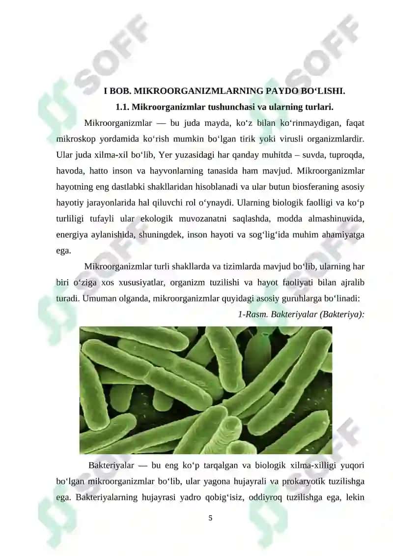 FERMENTLI PREPARATLAR ISHLAB CHIQARISH 5
