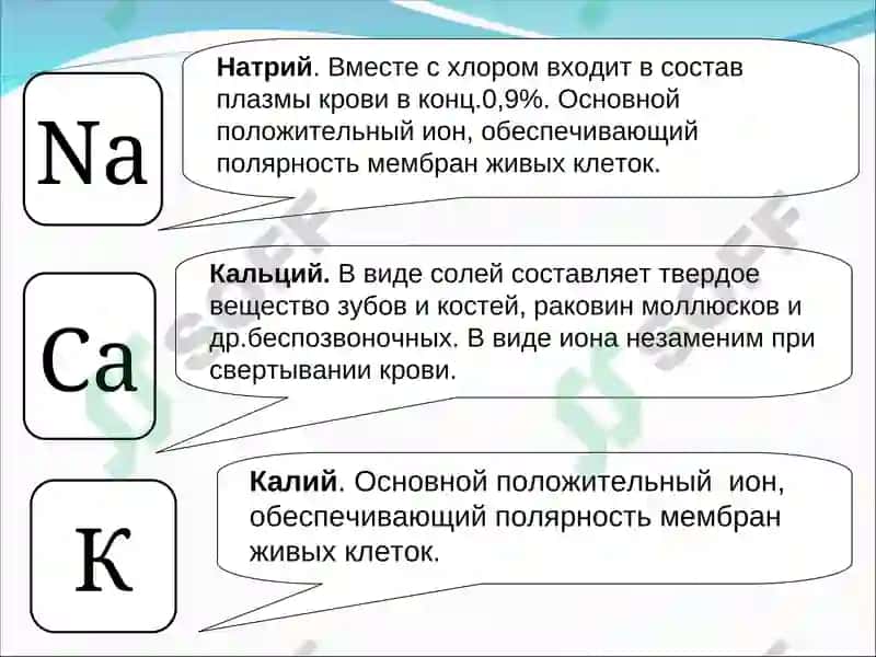 Химические элементы клетки 5