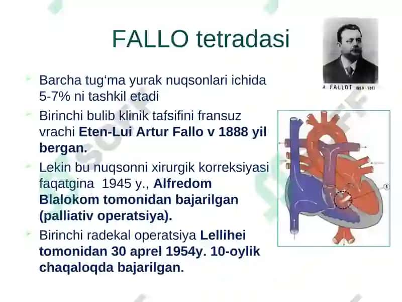 YURAK NUQSONLARI ETIOLOGIYASI PATOGENEZI 5