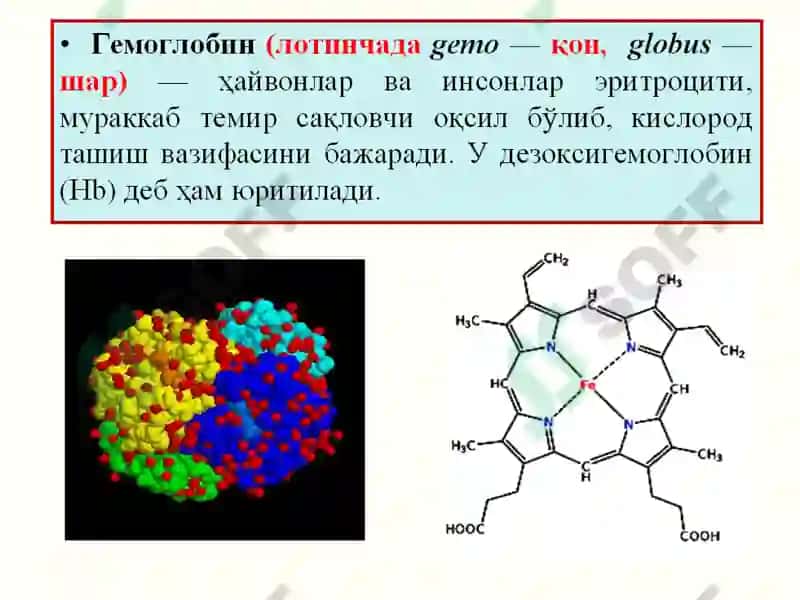 ИС ГАЗИ БИЛАН ЗАҲАРЛАНИШ. КАРБОКСИГЕМОГЛОБИННИ ҚОНДАН КИМЁВИЙ ВА ФИЗИК-КИМЁВИЙ УСУЛЛАРДА ТАҲЛИЛ ҚИЛИШ 5