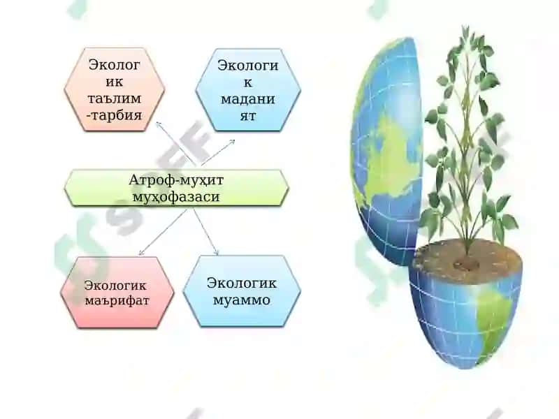 ЭКОЛОГИК ТАЪЛИМНИ РИВОЖЛАНТИРИШ 5