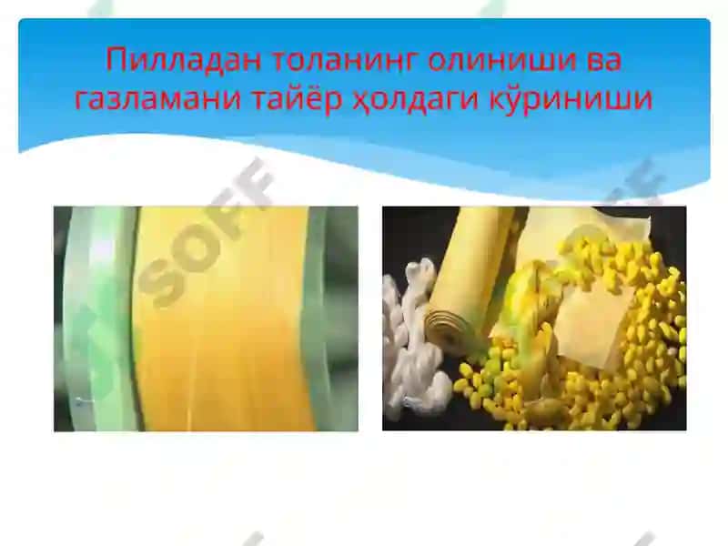 Тирик пиллаларни қабул қилиш 5