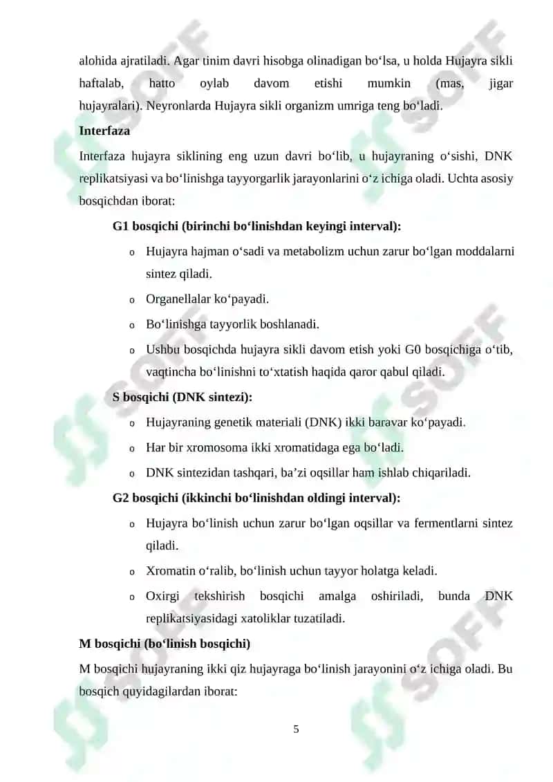Hujayra sikli va uning davriyligi 5