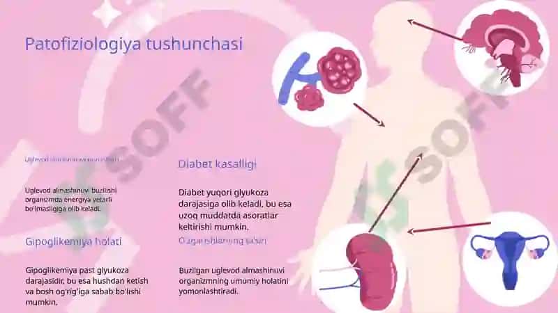 Uglevod almashinuvi va uning patofiziologiyasi 5