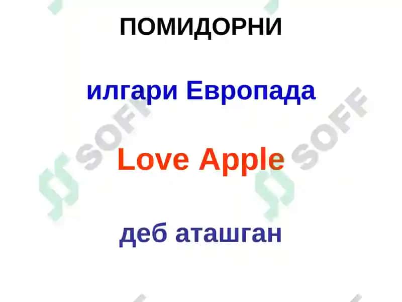 ҚИШЛОҚ ХЎЖАЛИКФИТОПАТОЛОГИЯСИ 5