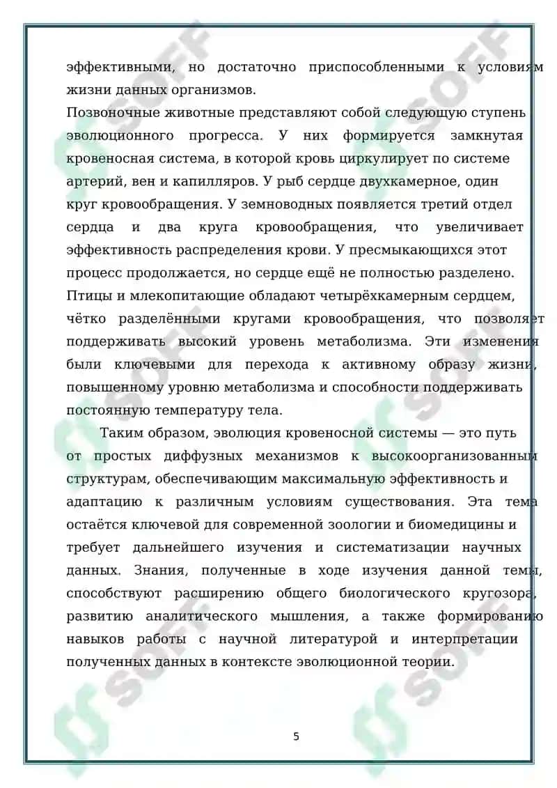 Строение и эволюция кровеносной системы животных 5