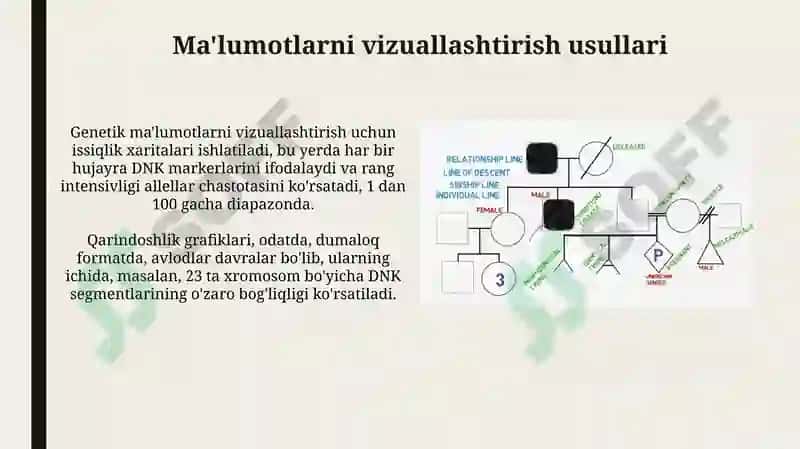 Zamonaviy genealogik jadvallar 5