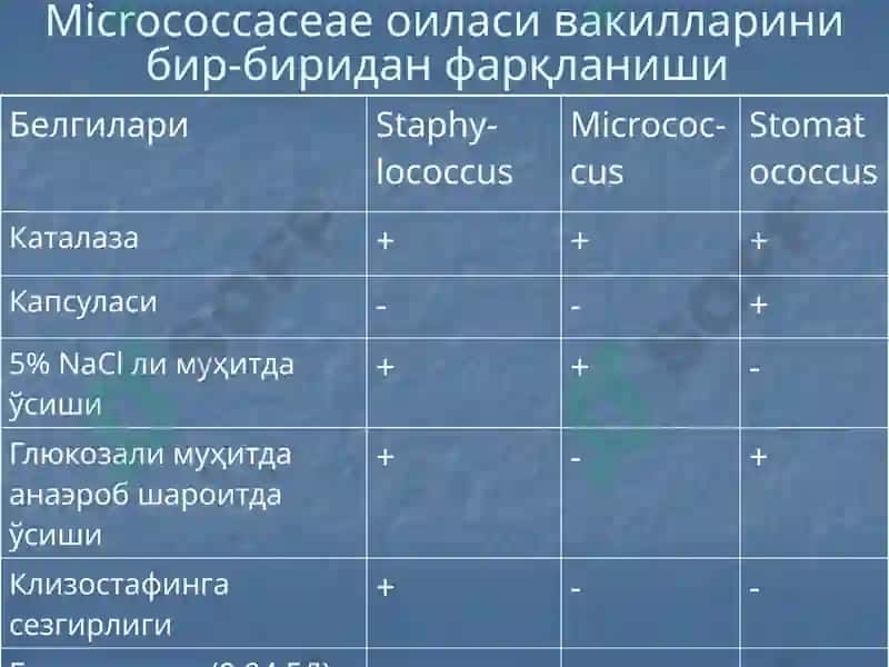 Йирингли яллиғланиш жараёнларини келтириб чиқарувчи микроорганизимлар. 5