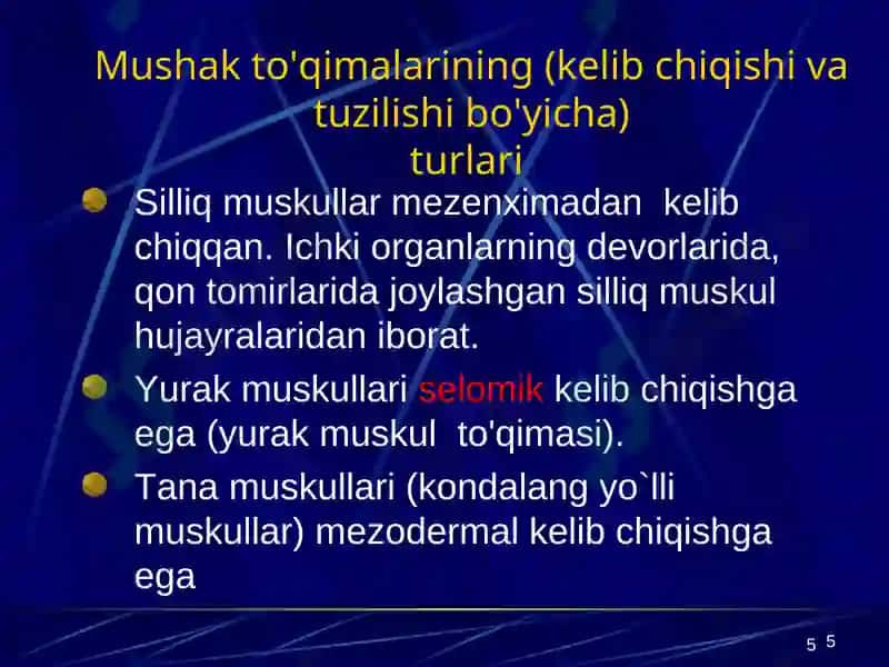 Muskullar sistemasiga umumiy tushuncha. Muskullar sistemasi klassifikatsiyasi, tuzilishi 5