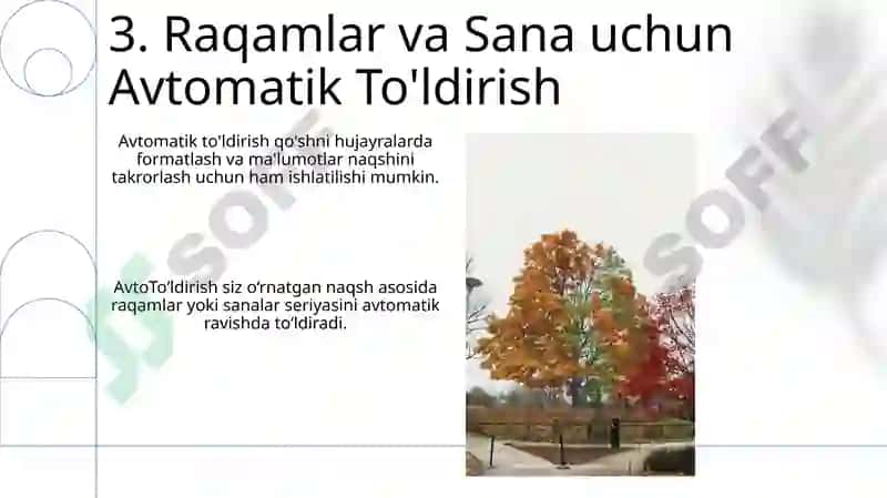 Avtotoldirish va avtohisoblashlar 5