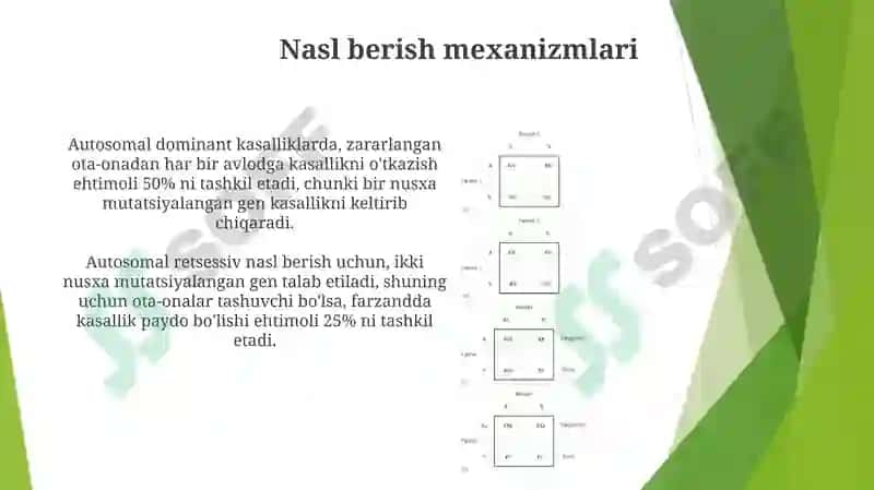 Tibbiybiologiya Autosomadominant va retsessiv kasalliklar 5