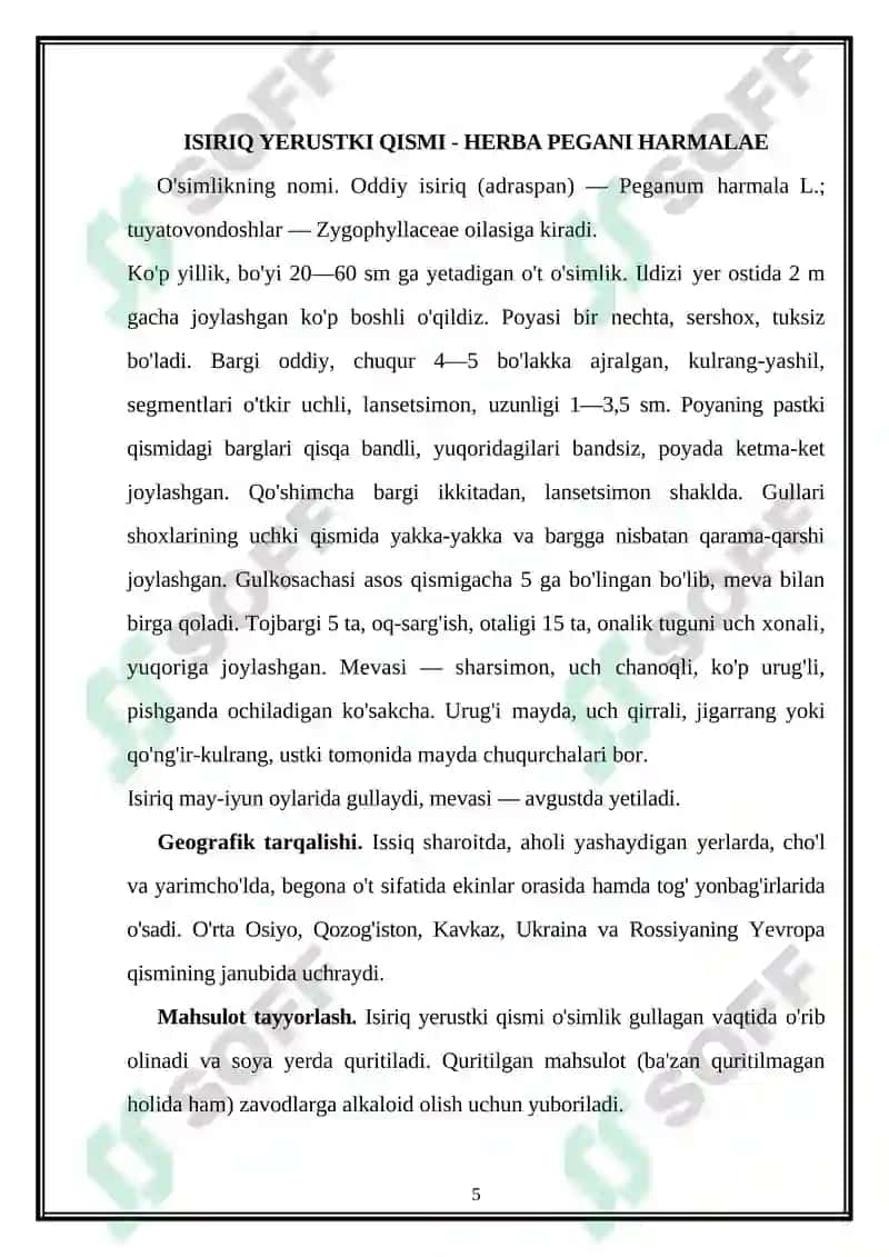 Dalachoy Yerustki Qismi - Herba Hyperici 5