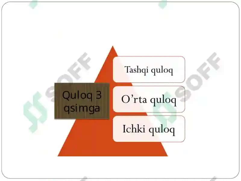 Quloqning fiziologiyasi va patalogiyasi 5
